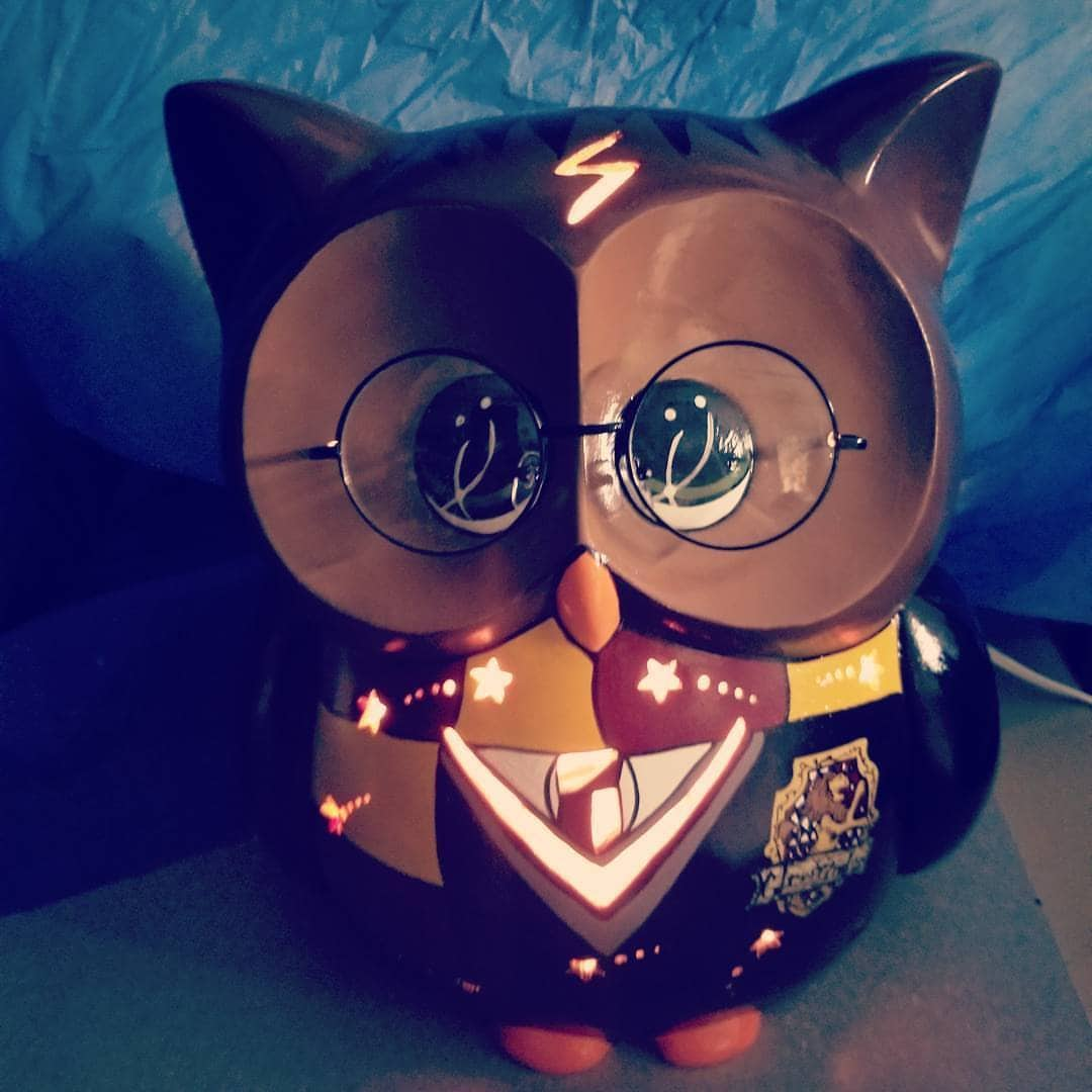 Custom Owl Piggy Bank or Night Light